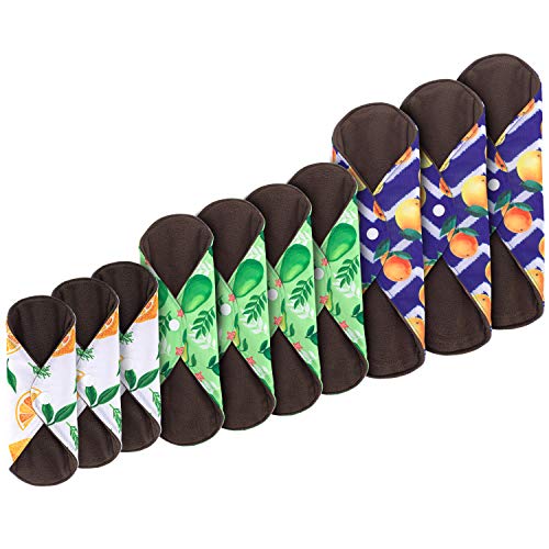 Teamoy 10pcs Cloth Panty Liners, Reusable Sanitary Pads with Wet Bag, Washable Cloth Menstrual Pads